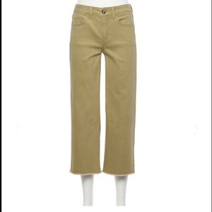 NWOT Women's Sonoma Goods For Life® High Rise Wide-Leg Cropped Trailing Vine